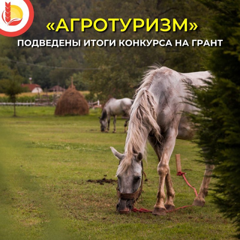 Два фермера из Удмуртии получат гранты по программе «Агротуризм» Два фермера из Удмуртии получат гранты по программе «Агротуризм»