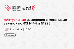 В Ижевске пройдет семинар «Актуальные изменения в механизме закупок по ФЗ №44 и №223»